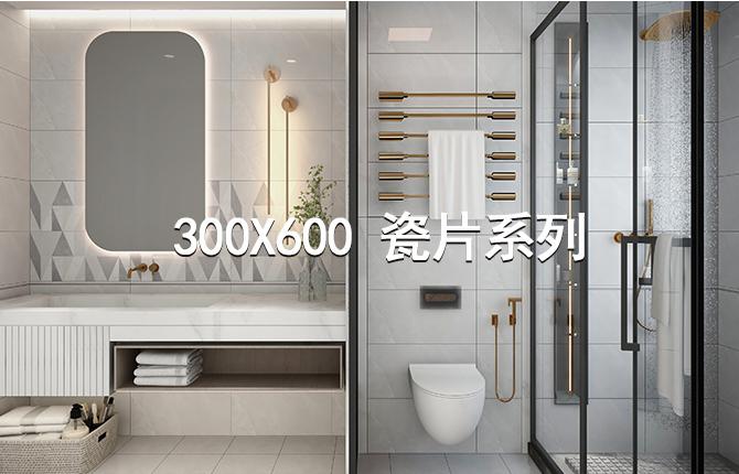 300x600瓷片系列